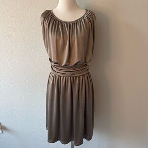 Express Taupe Midi Dress